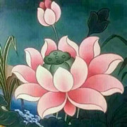 ╰☆☆女神☆づ王子的主播照片