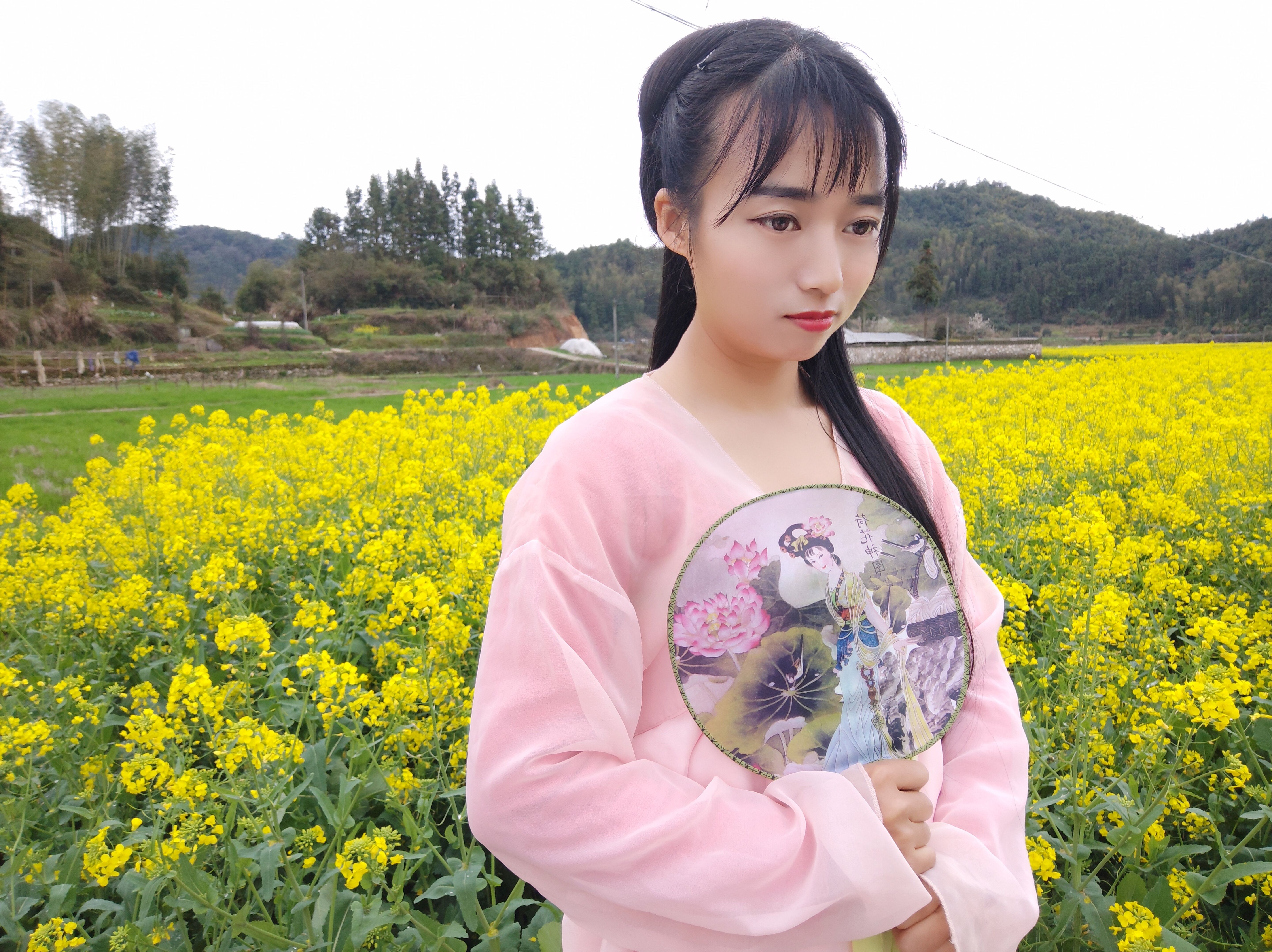 东方不败哪田园风光的图片