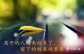 დ释怀დ主播照片