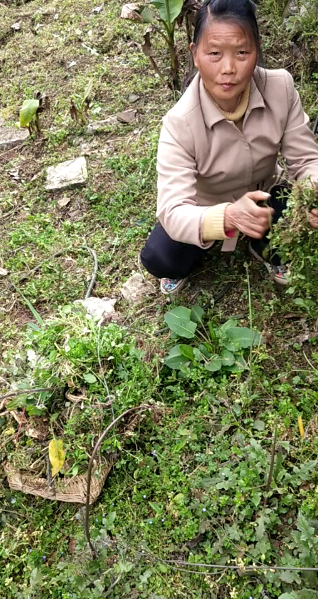 勤劳的人
