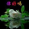 一帆风顺lko3