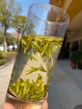 茶小拙主播照片