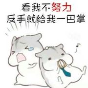 你的归期~