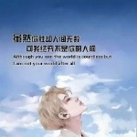 我曾踏足山巅海报