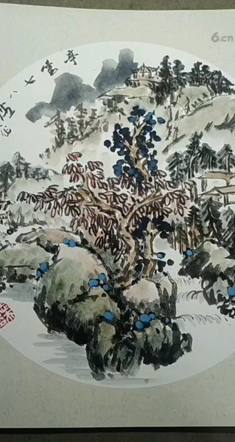 我的直播作品