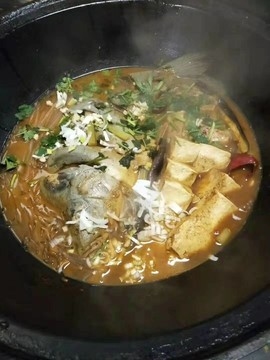 吃货🐽猪猪^O^主播照片