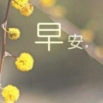 笑笑rs