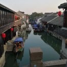 向死而生m6