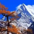 林秀莲z的头像