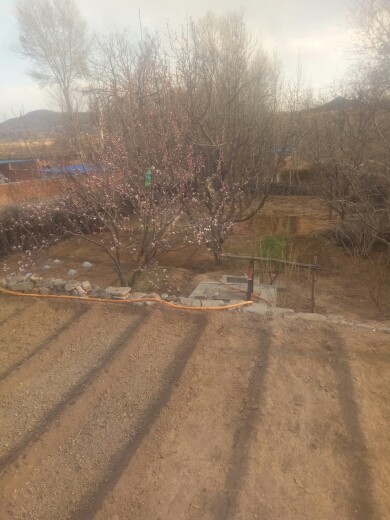 幸福就是遇见你。的主播照片