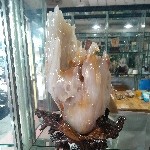 天然缅甸树化玉