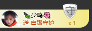 海鸽晚上见主播照片