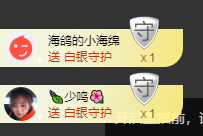 海鸽晚上见主播照片