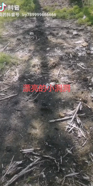 明天爆网