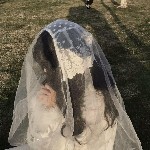小宇稔坐江山