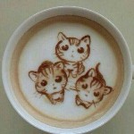 咖啡杯里的猫猫