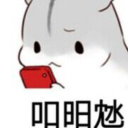 龜麇鲪海报