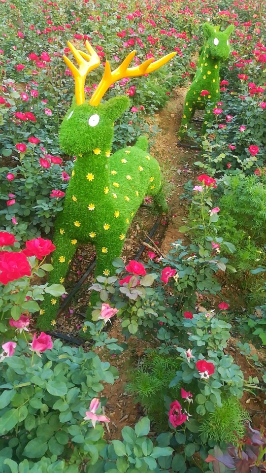 龙行星空的主播照片