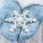 东二区的雪