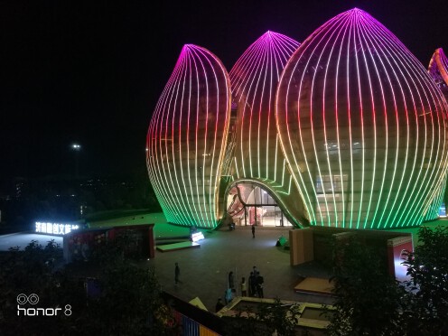 龙哥来了1—7的主播照片