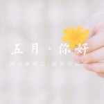 简笨笨
