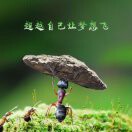 庆[握手]