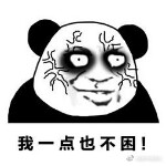 酷酷的瓜仔