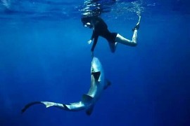 ❤有的用人单位骗子❥主播照片