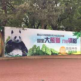 新人21😌主播照片