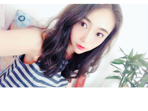 ____猫猫海报