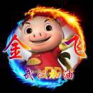 金飞d