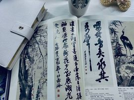 叮当喵~~~主播照片