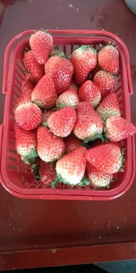 ♥★唯爱★♥主播照片