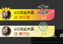 海鸽晚上见主播照片