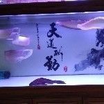 勇少♥主播照片