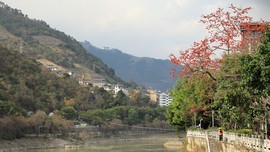 真言叔叔相约在怒江主播照片