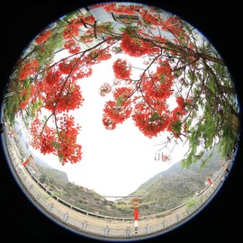 真言叔叔相约在怒江主播照片