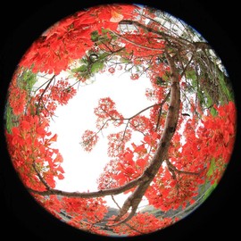 真言叔叔相约在怒江主播照片