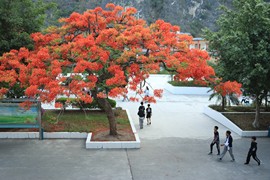 真言叔叔相约在怒江主播照片