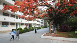 真言叔叔相约在怒江主播照片