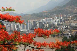 真言叔叔相约在怒江主播照片
