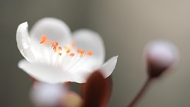 真言叔叔相约在怒江主播照片