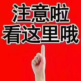 一只雁~主播照片