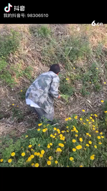 陪爸妈采山菜，童年的回忆