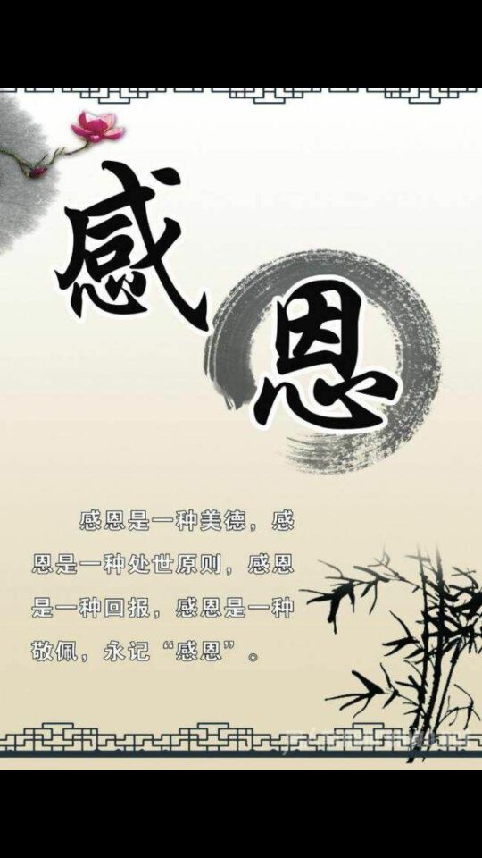 我就是那最蠢的猪🐷主播照片