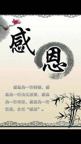 我就是那最蠢的猪🐷主播照片