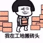 工地搬砖的.