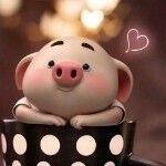 春暖❤❤花开的主播照片