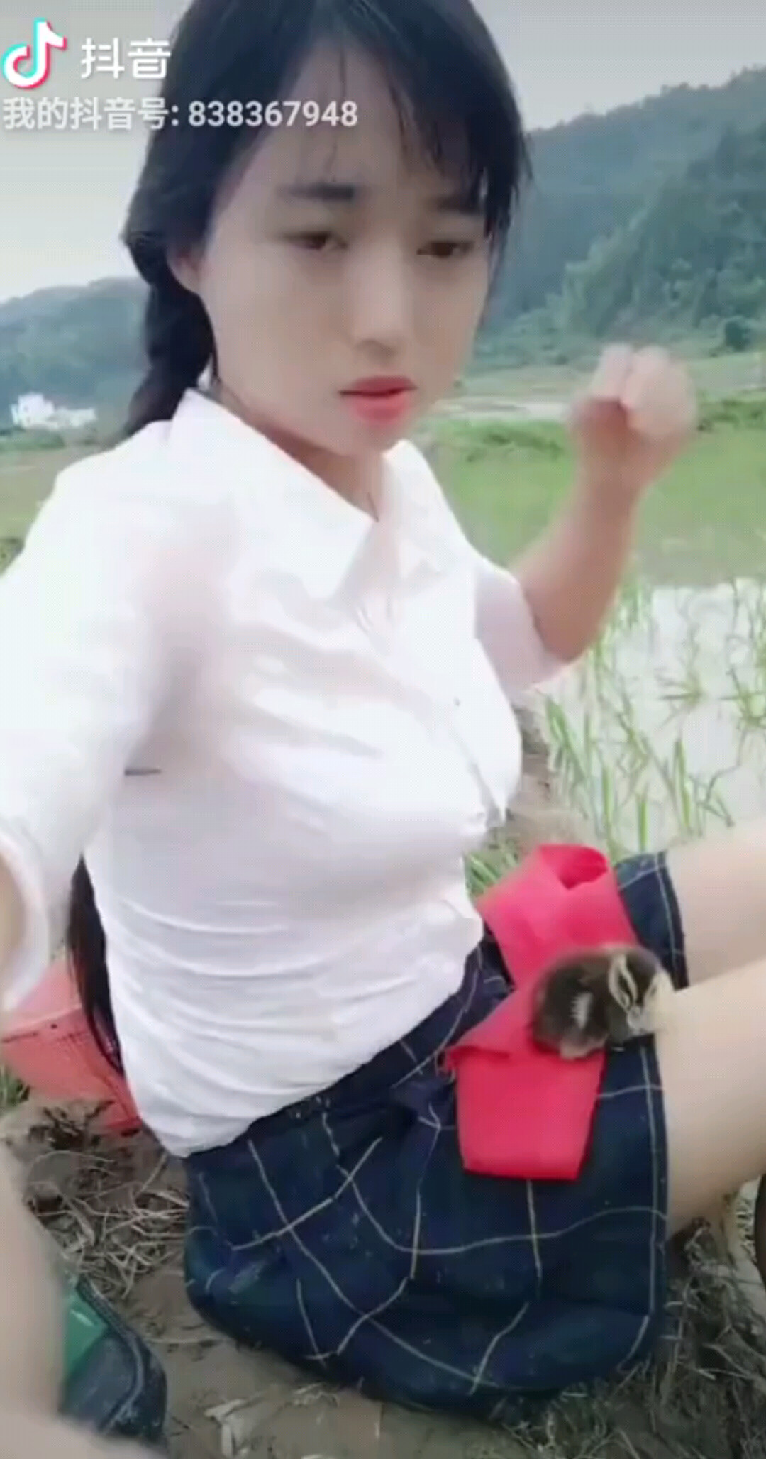 小鸭子