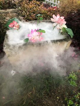 唯爱🌺小艾主播照片